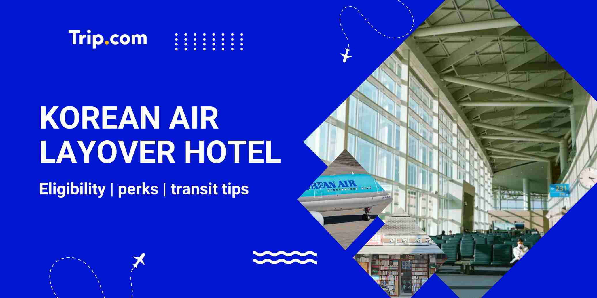 Free Korean Air Layover Hotel: Eligibility & Booking Guide