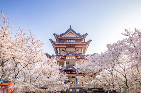 無錫旅行ならカスタマーサポートのあるTrip.comが安心