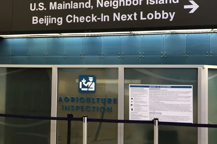 ホノルル国際空港の利用時の注意点3つ