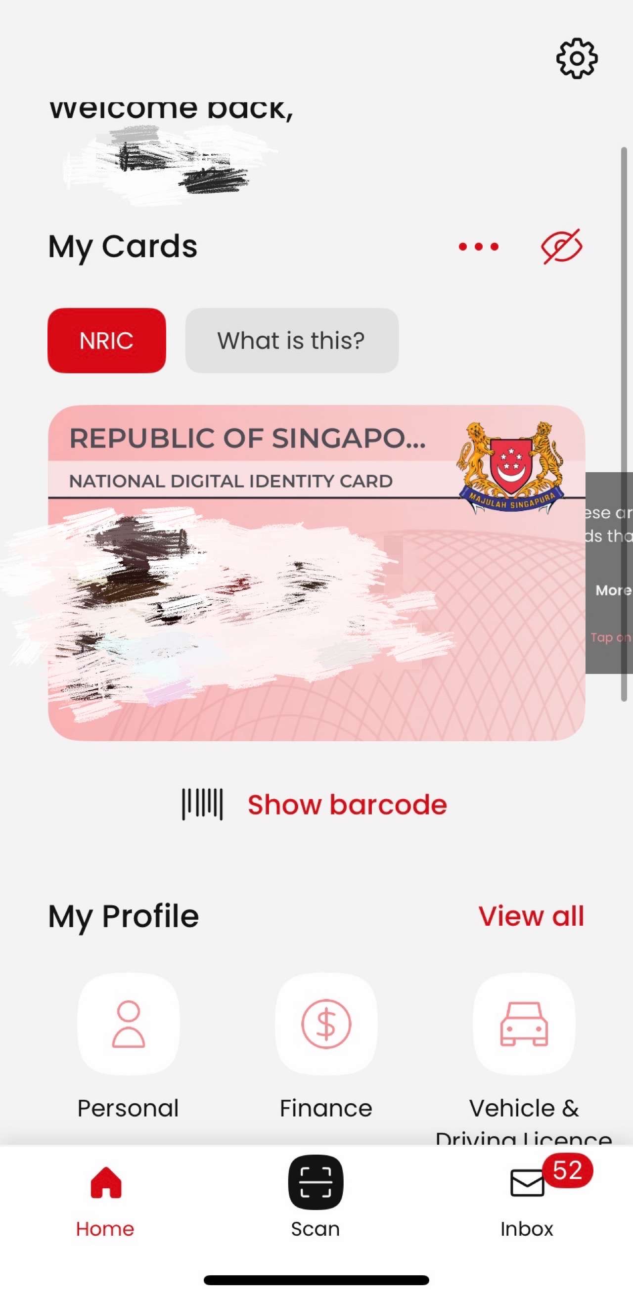singpass app interface screenshot