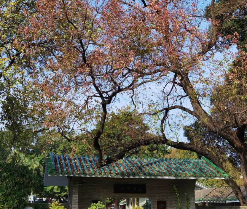 Guangzhou Weather: Autumn in Guangzhou