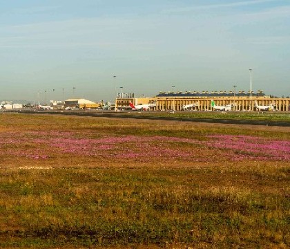 Aeropuerto de Sevilla