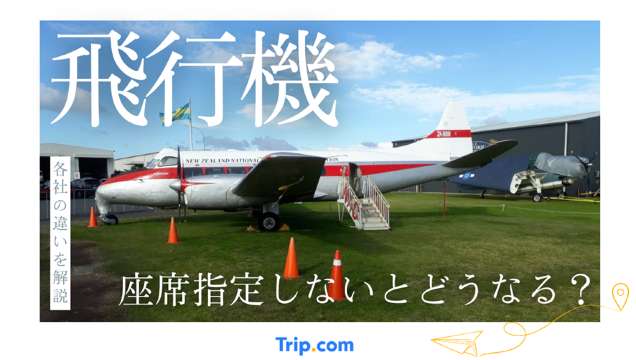 飛行機は座席指定しないとどうなる？LCC・JAL・ANAの違いを解説