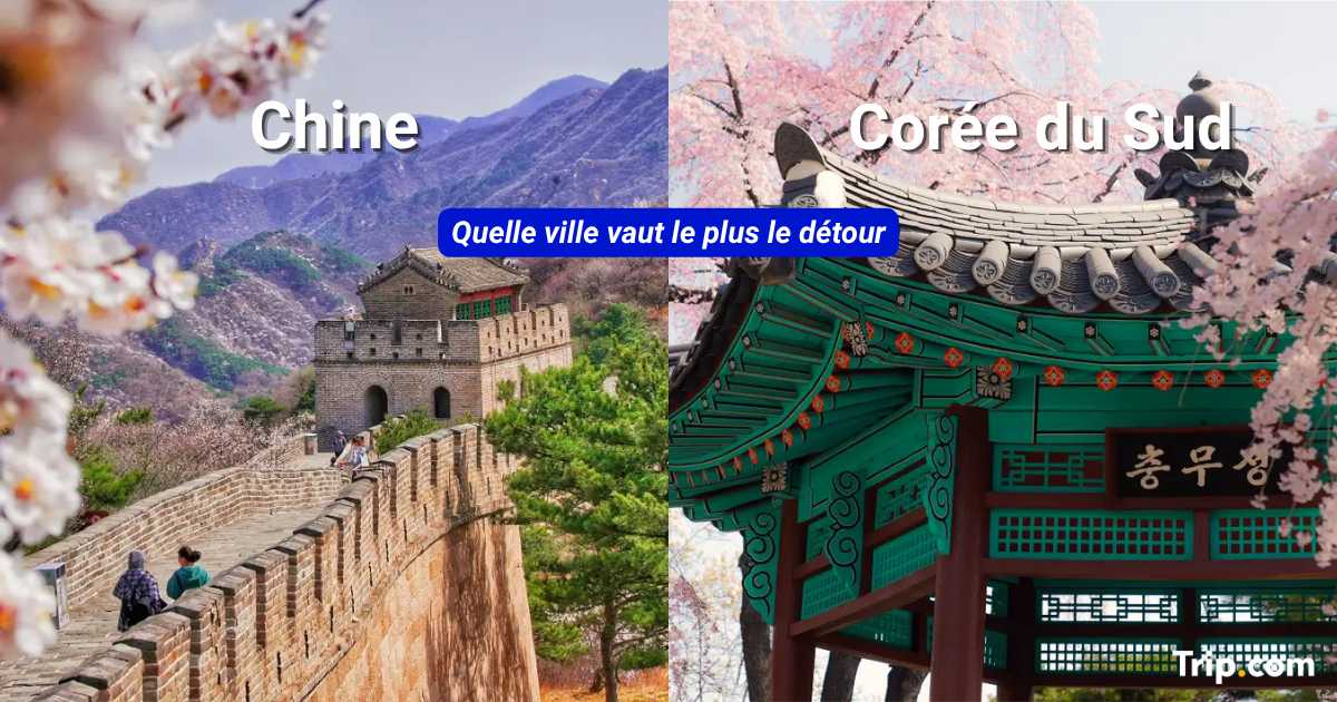 Chine ou Corée du Sud