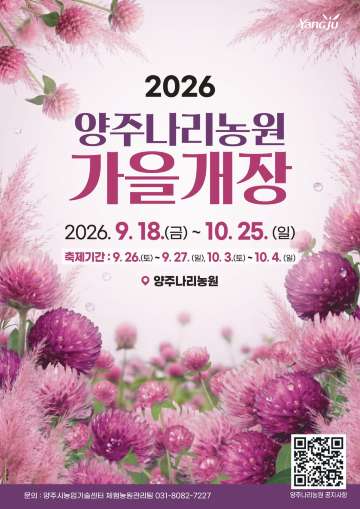 가을꽃축제 양주 천일홍 축제 