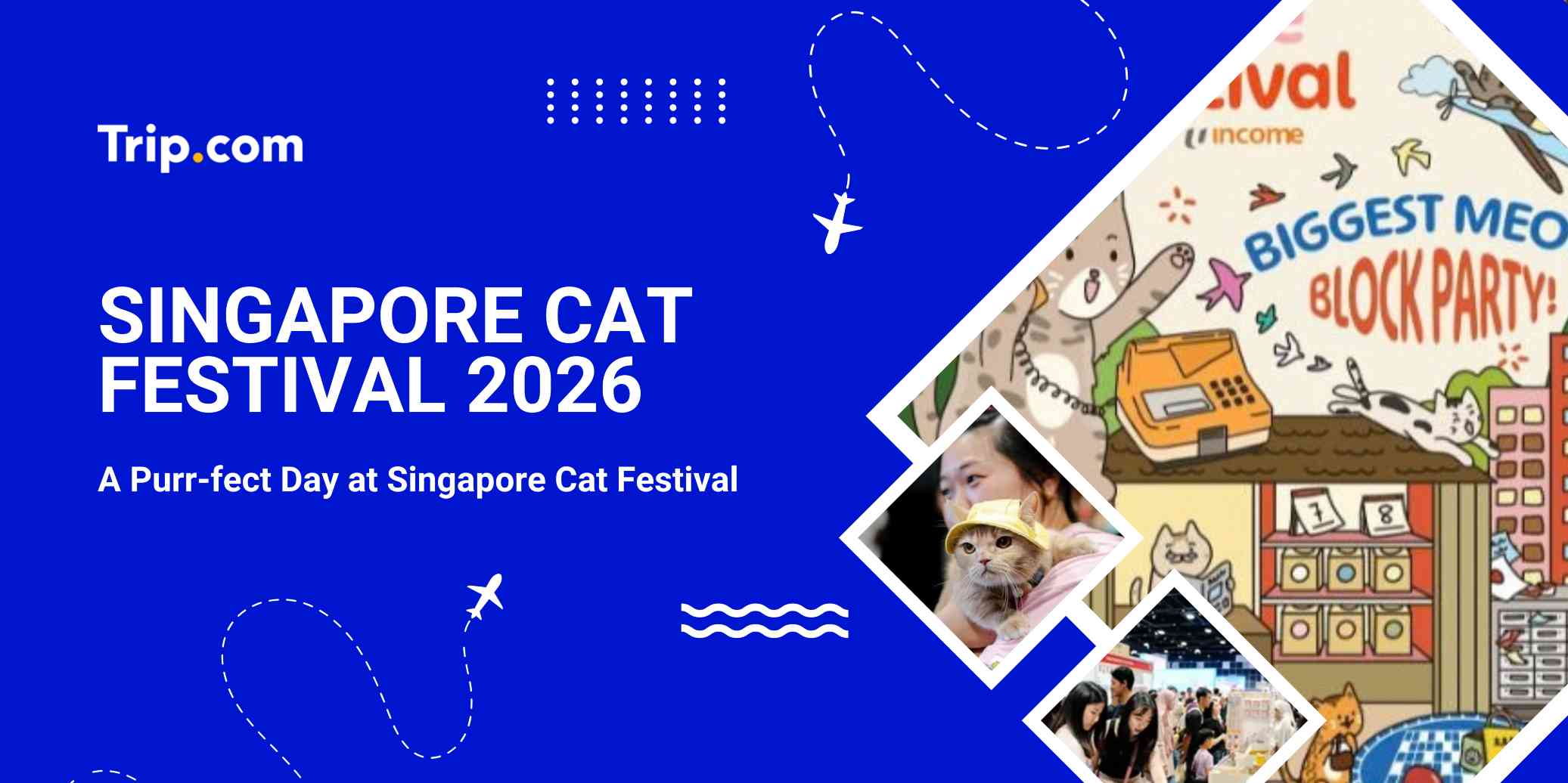 Singapore Cat Festival 2026: Guide, Dates & Highlights | Trip.com