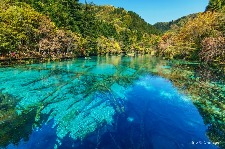 Jiuzhaigou Winter