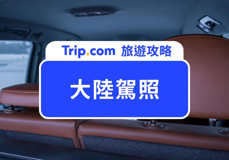大陸駕照