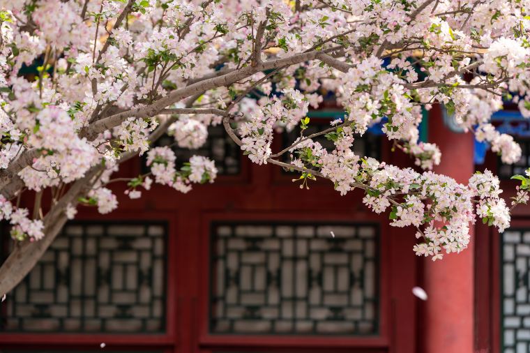 Prince Kung's Palace Museum