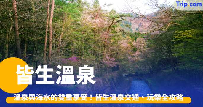 【皆生溫泉】溫泉與海水的雙重享受！皆生溫泉交通、玩樂全攻略 | Trip.com