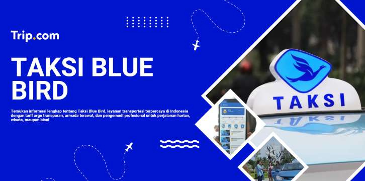 Taksi Bluebird: Layanan Taksi Terpercaya di Indonesia | Trip.com