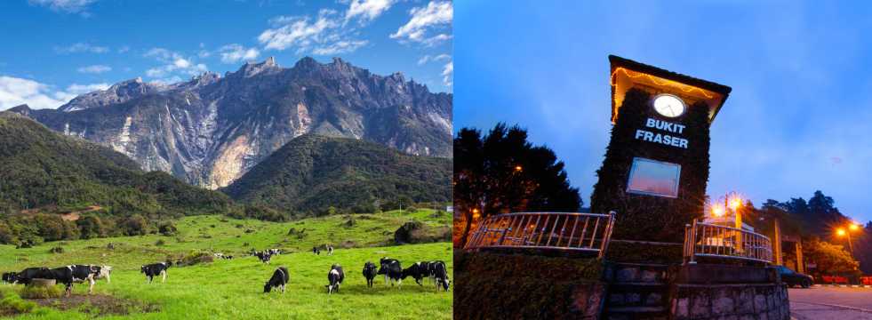 Kundasang vs Fraser’s Hill, Mana yang Lebih Baik?