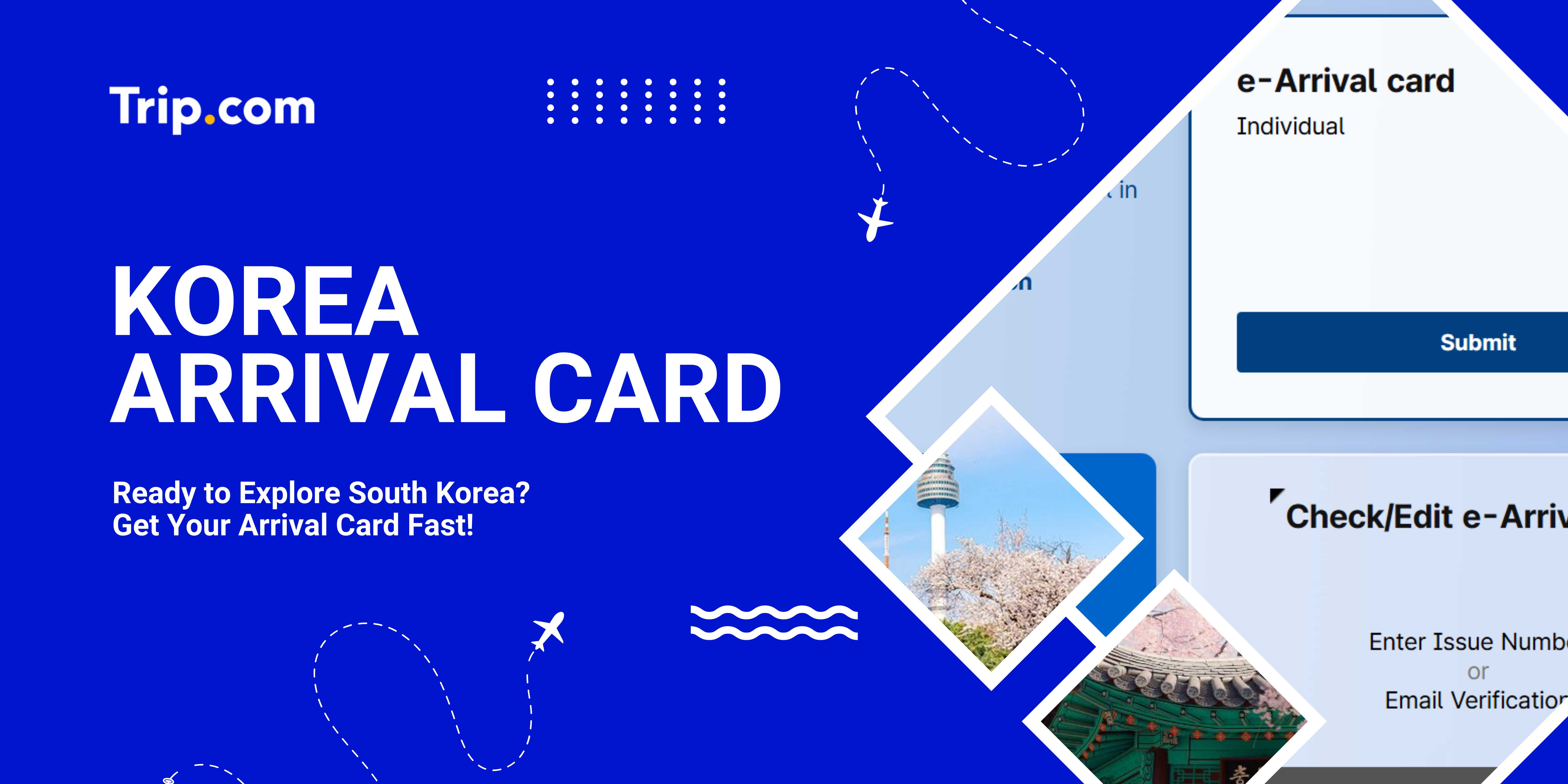 Korea Arrival Card