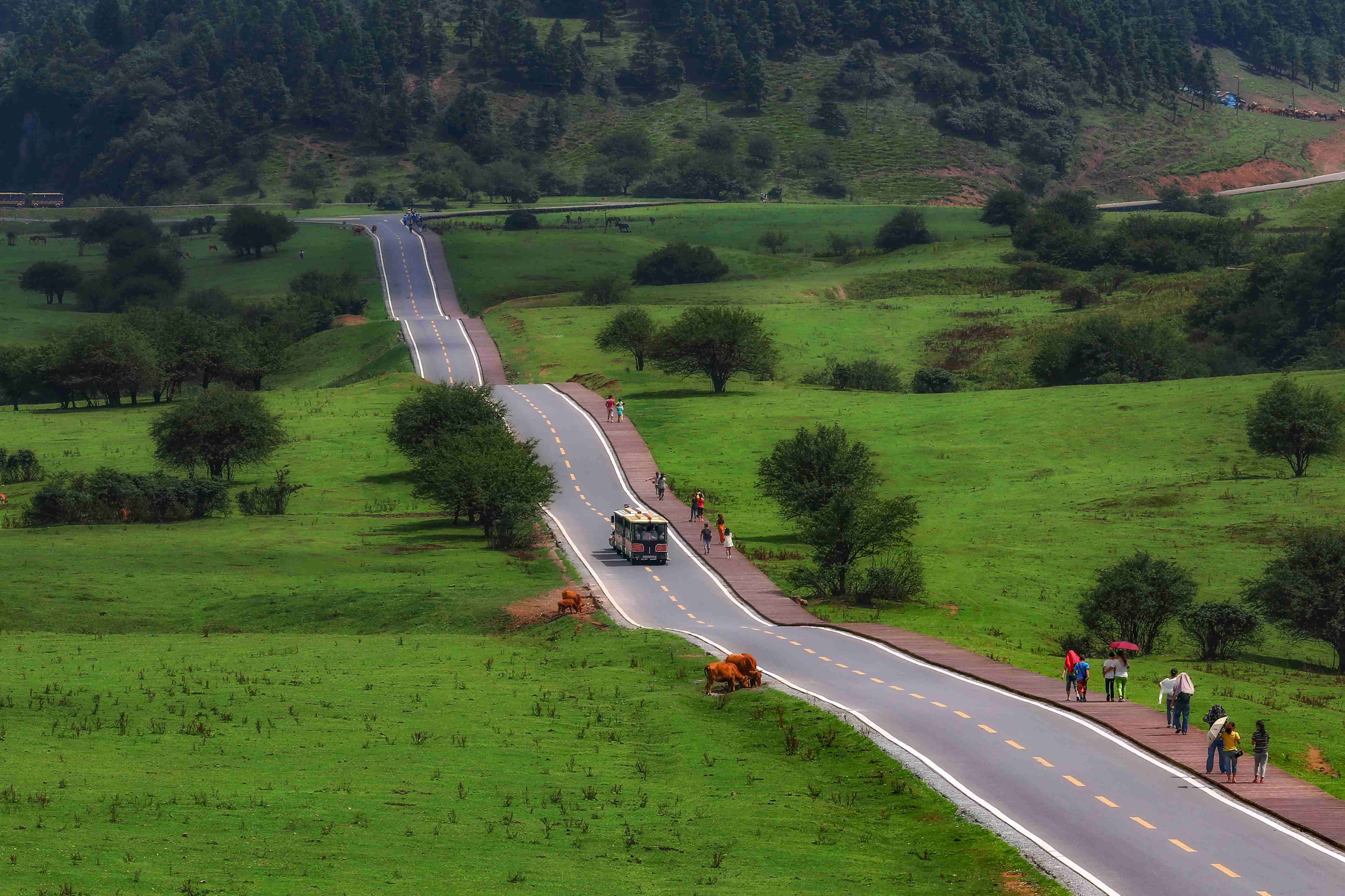 센뉘산 국가삼림공원