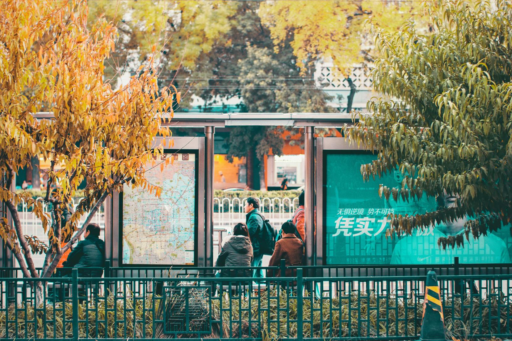 Hari musim gugur yang penuh warna di halte bus yang ramai di Beijing, Tiongkok, dengan dedaunan yang berwarna-warni. Via Pexels (by zhang kaiyv)