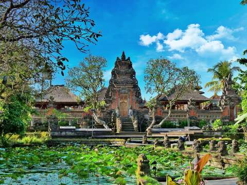 Pilih Transportasi Denpasar ke Ubud Sesuai Kebutuhan