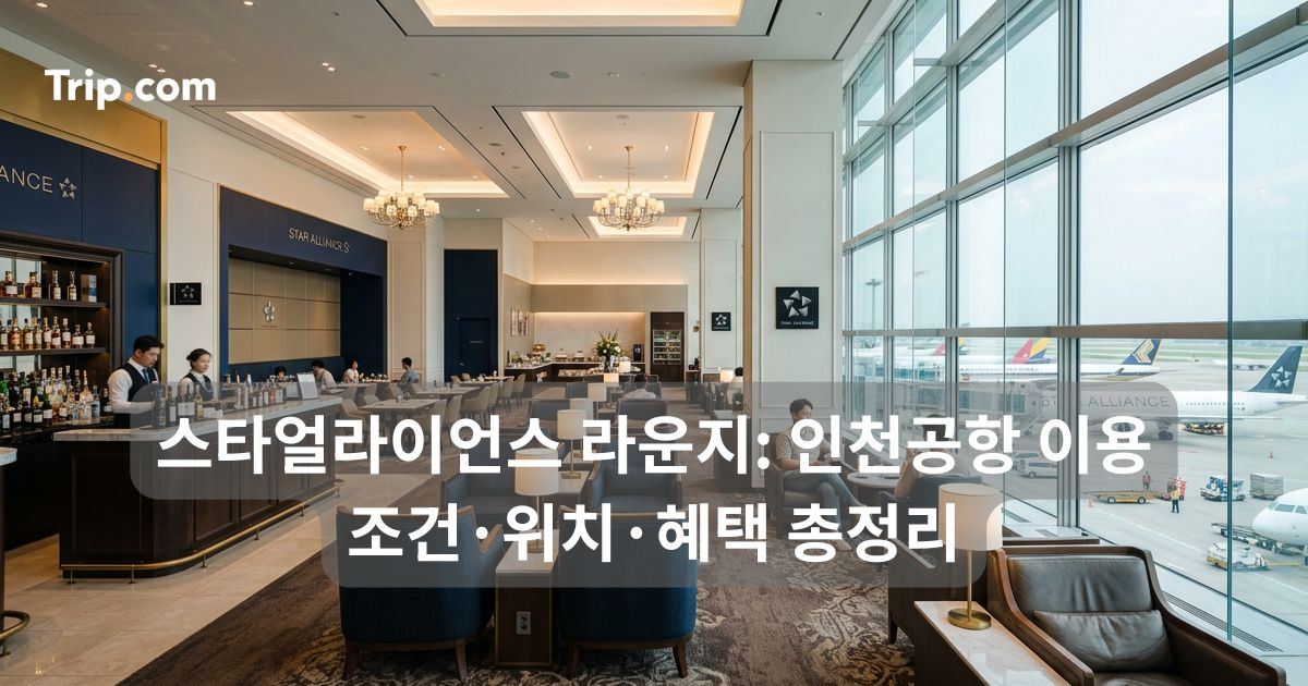 스타얼라이언스 라운지