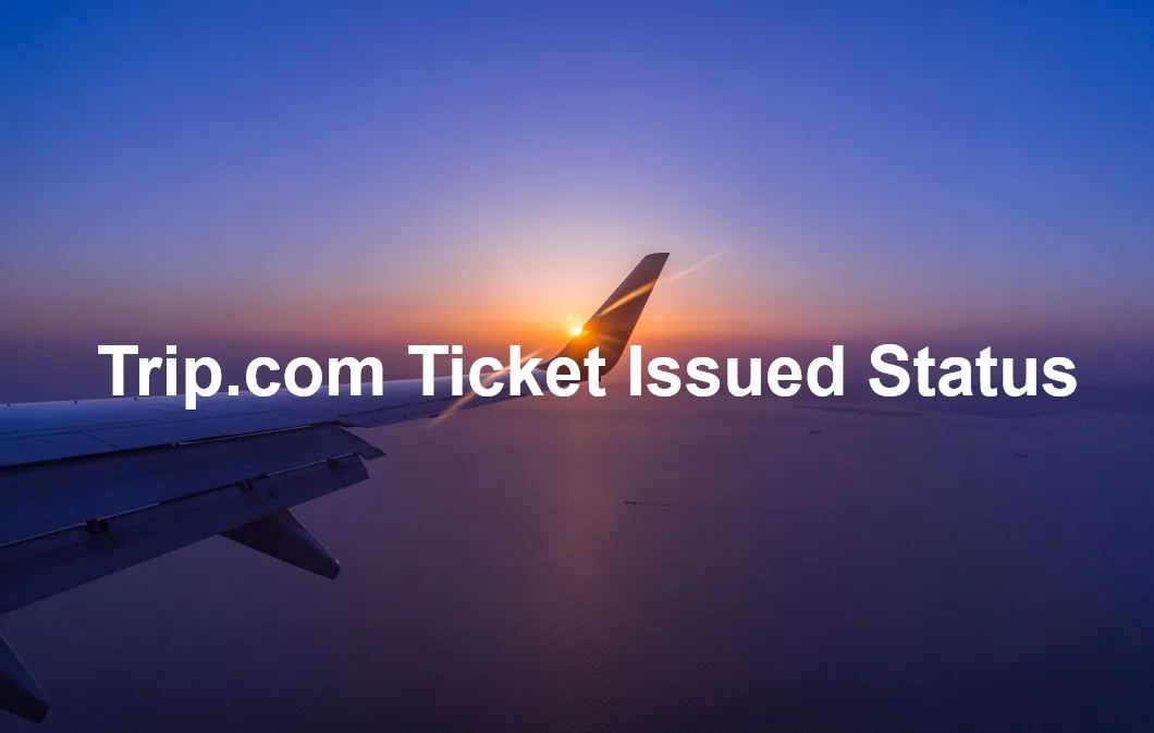 Cách Kiểm Tra Tình Trạng Xuất Vé Máy Bay Trên Trip.com