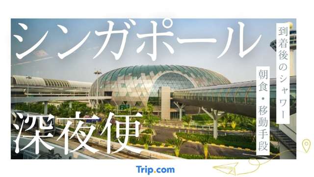 シンガポール深夜便の完全ガイド｜到着後のシャワー・朝食・移動手段まで徹底解説