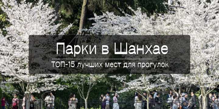 Парки в Шанхае: ТОП-15 лучших мест для прогулок, семей и локальной жизни в 2026 | Trip.com