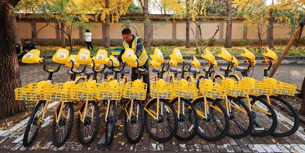 A Step-by-Step Guide to Riding Shared Bikes in China