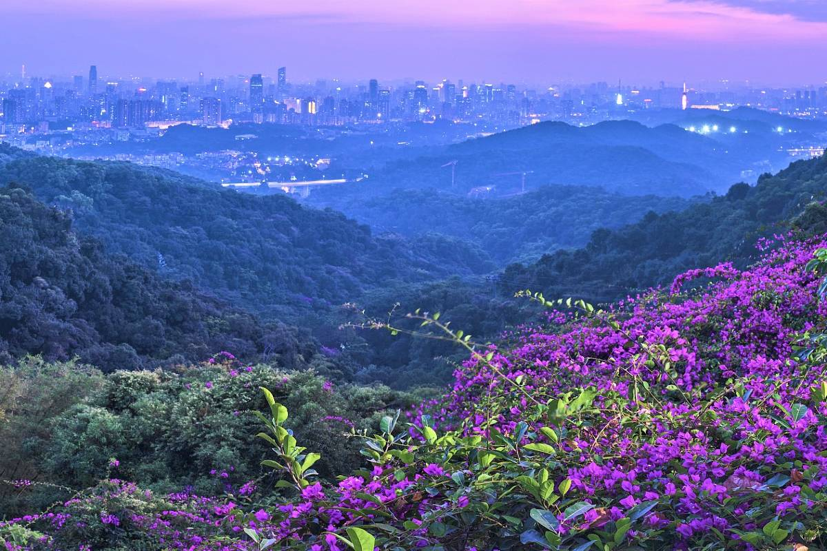3. Stroll Through the Scenic Baiyun Mountain