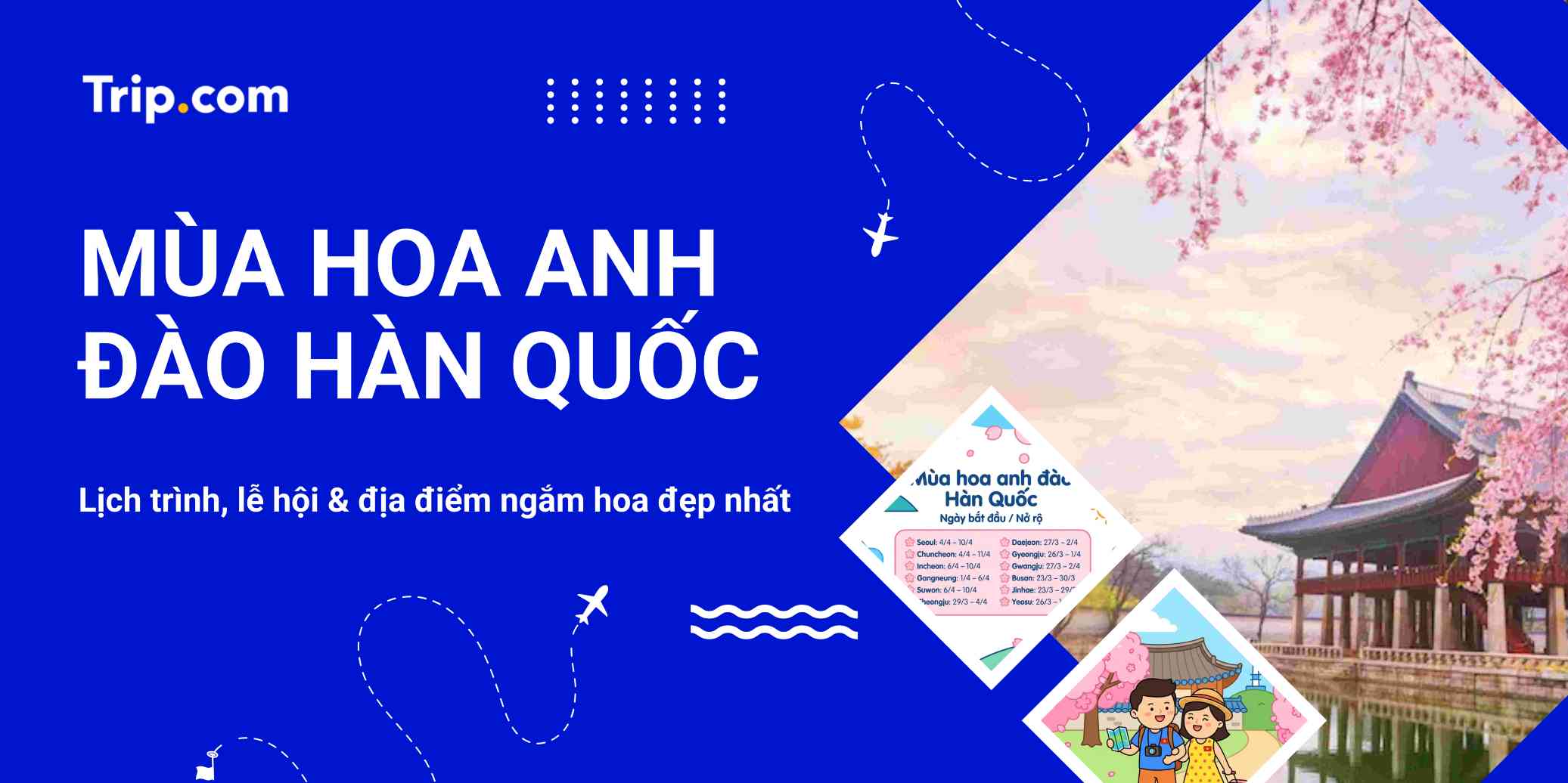 Mùa hoa anh đào Hàn Quốc 2026: Lịch dự báo, điểm ngắm hoa & kinh nghiệm tự túc | Trip.com