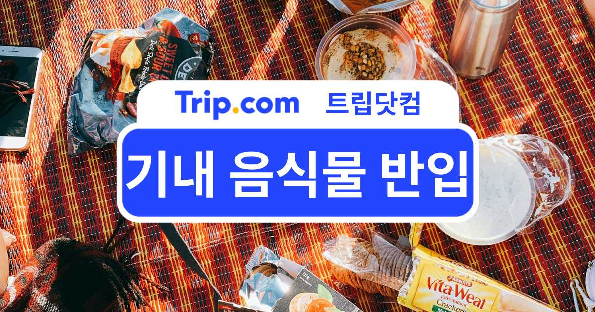 기내 음식물 반입 가능한 음식은? 간식·라면 등 비행기 음식물 반입 규정 정리