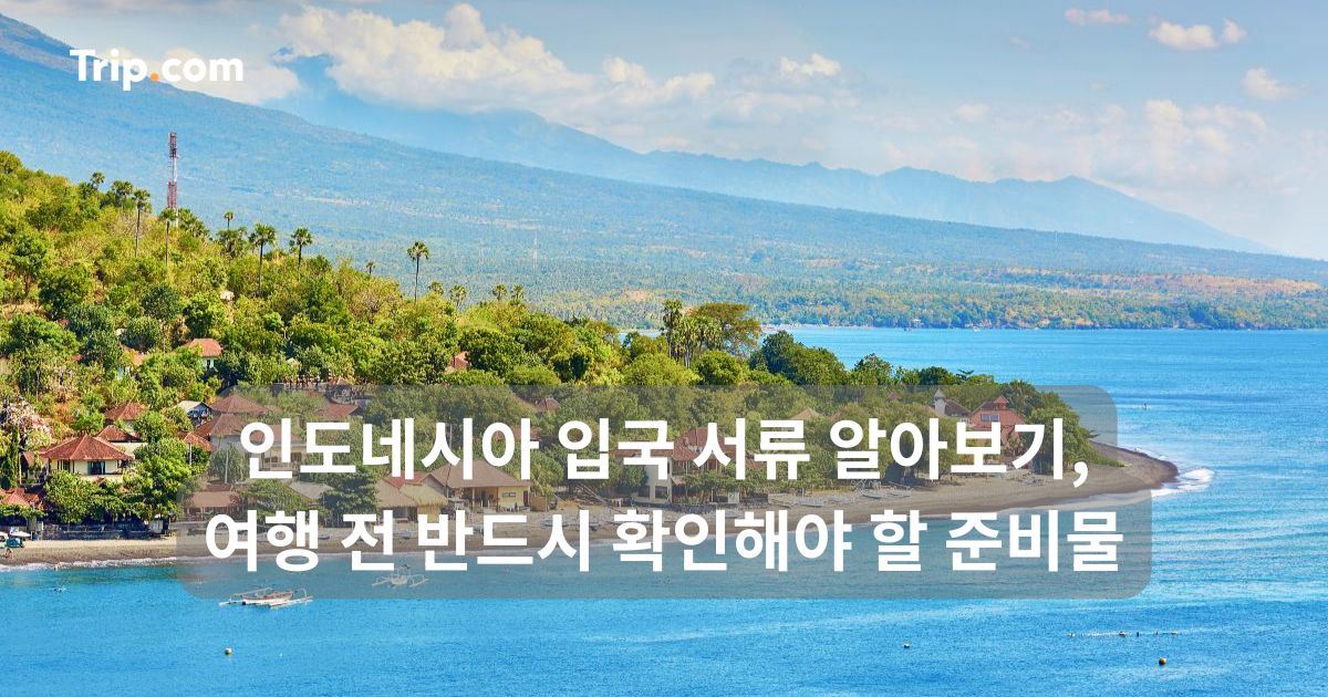 인도네시아 입국 서류