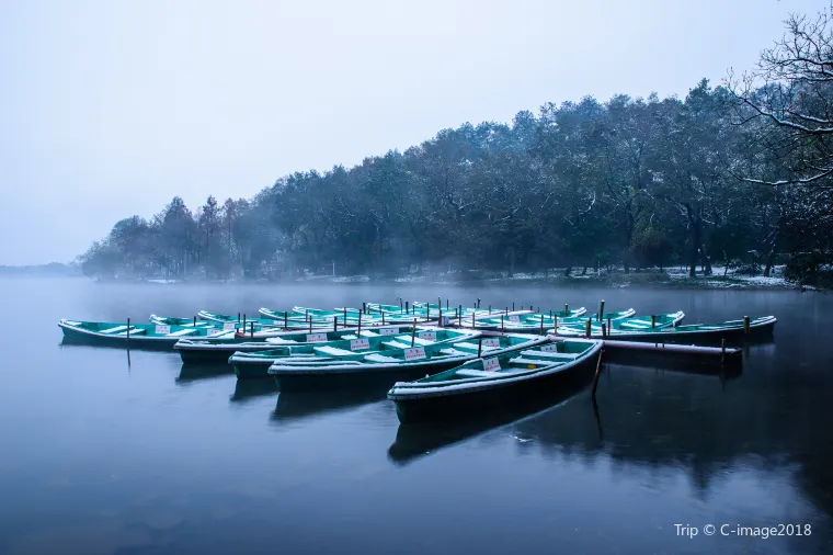 杭州の1月~12月の年間降水量について