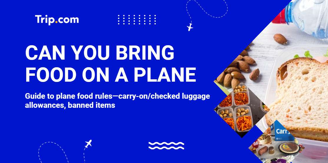 Can you Bring Food on a Plane