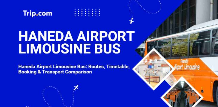 Haneda Airport Limousine Bus