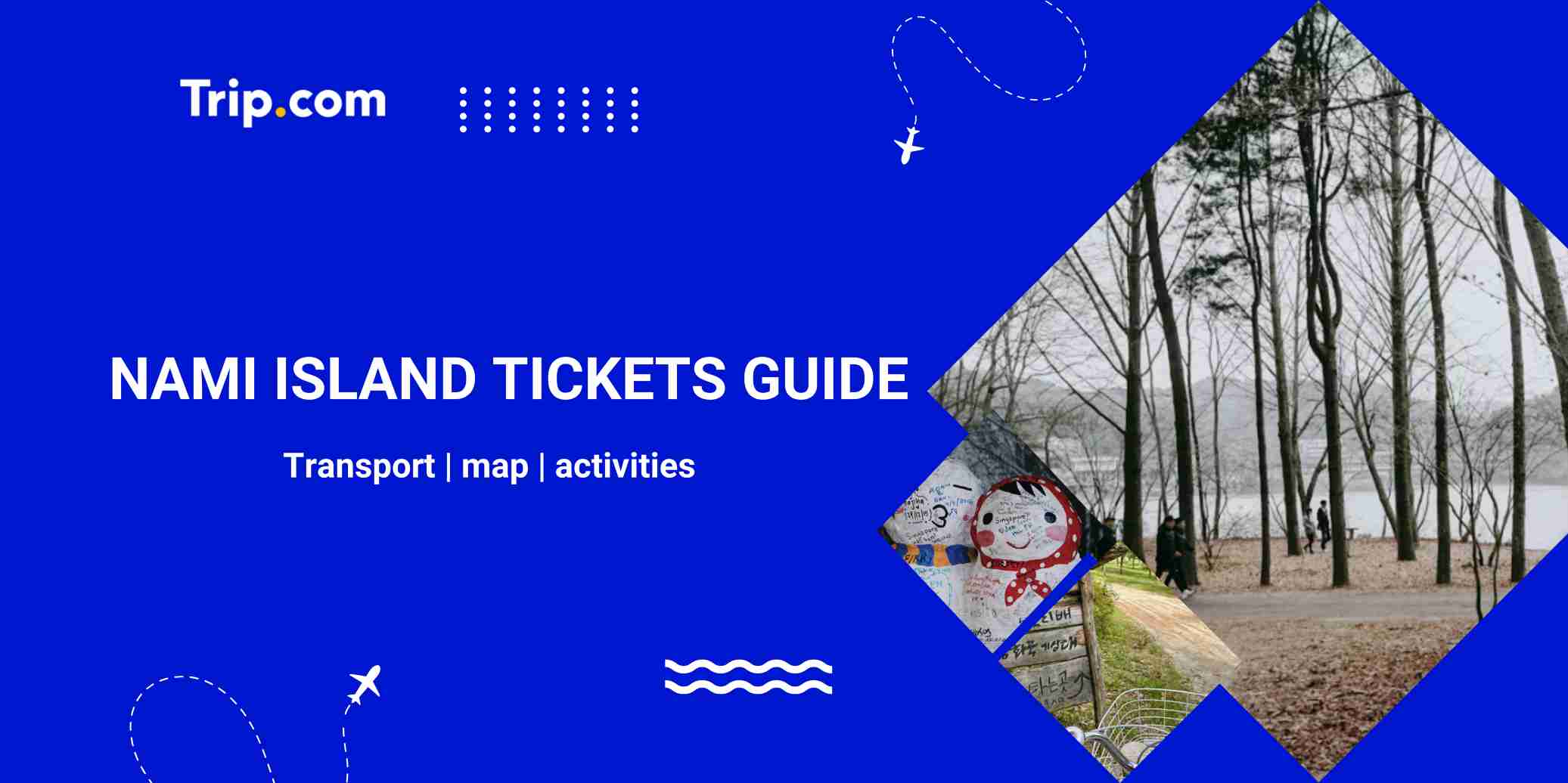 Nami Island Guide 2026: Transport, Attractions & Things to Do | Trip.com