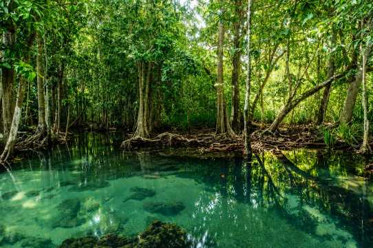Can Gio Mangrove Biosphere Reserve