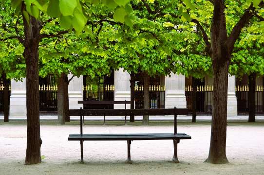 ・パレ・ロワイヤル庭園(Jardin du Palais Royal)