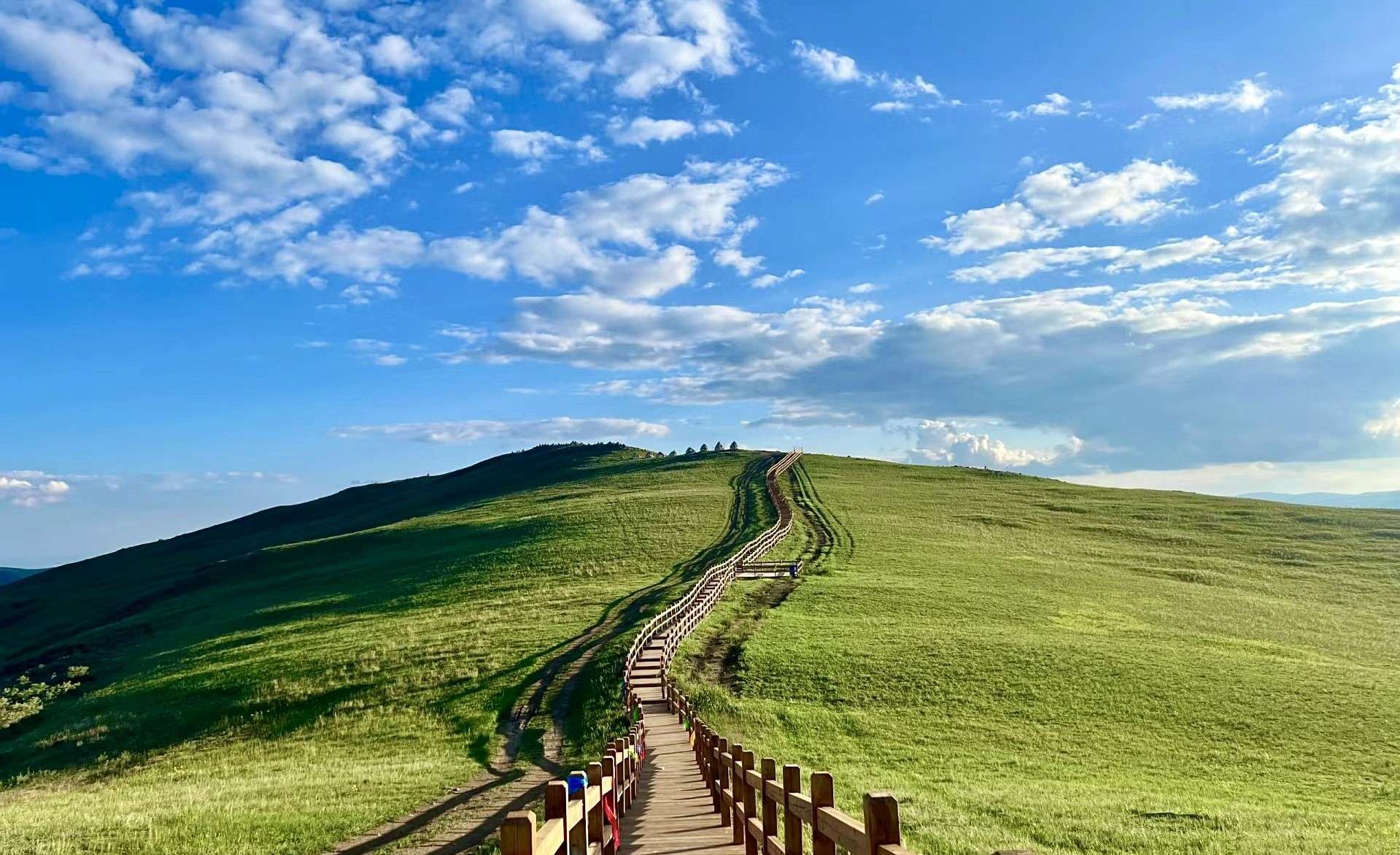 Hadamen National Forest Park