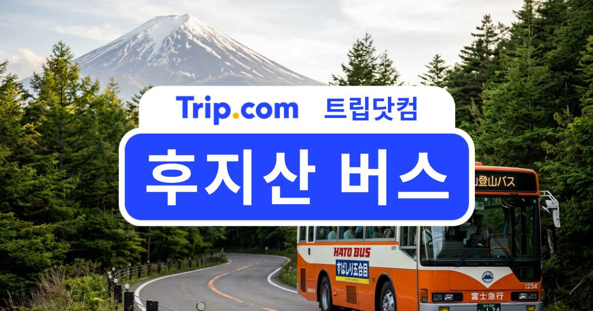 후지산 버스 여행: 가와구치코에서 5합목까지 한 번에! | 트립닷컴