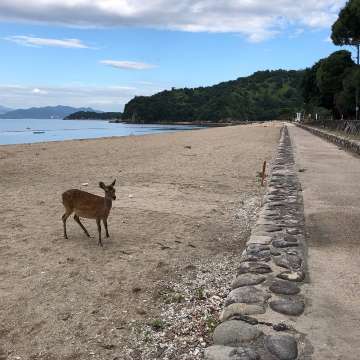 Tsutsumigaura Beach