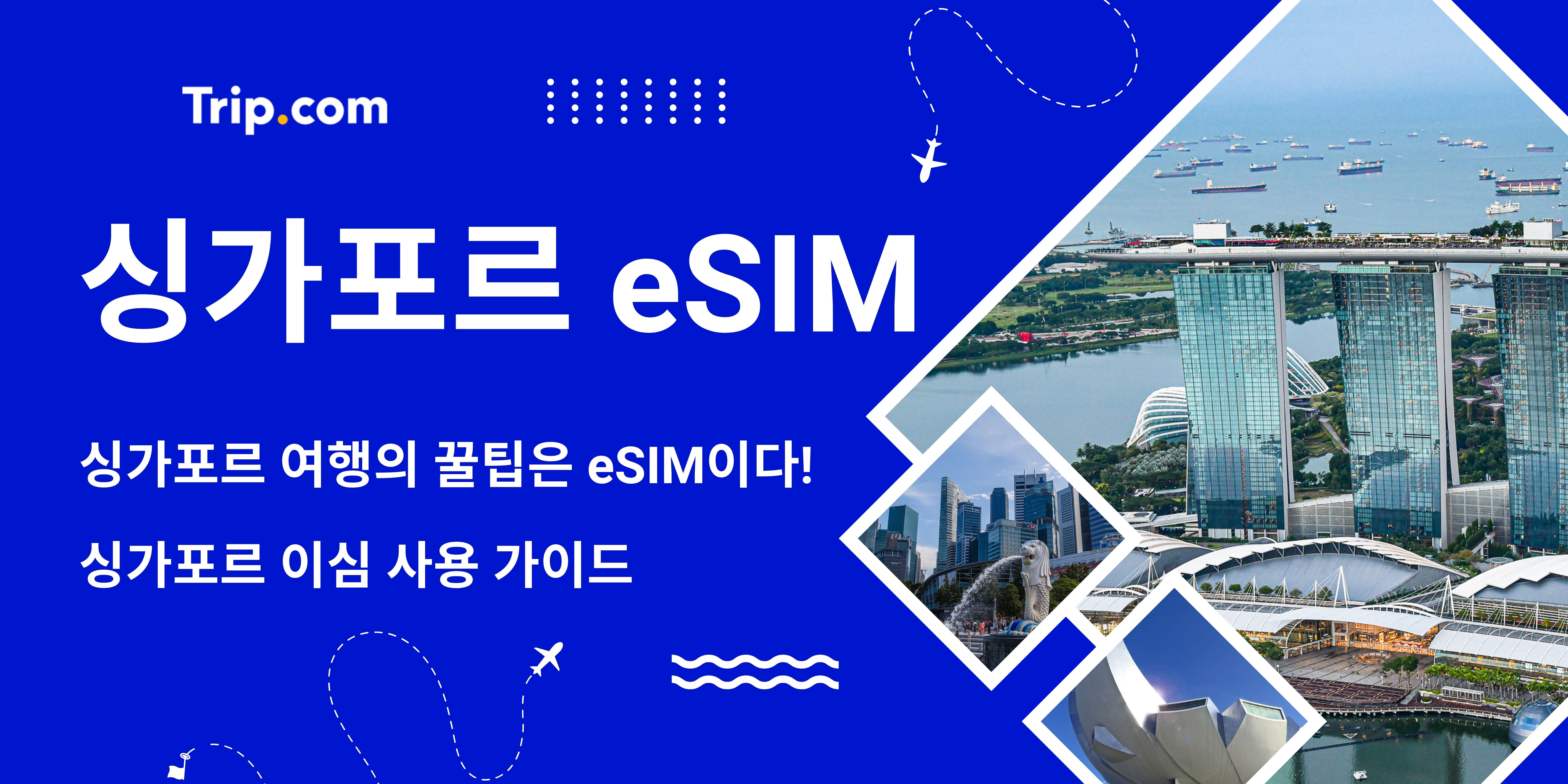싱가포르 eSIM