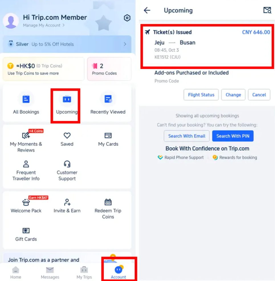 Регистрация на Рейс Trip.com