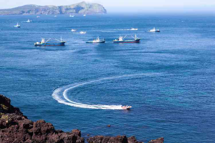 Reisetipps für Jeju