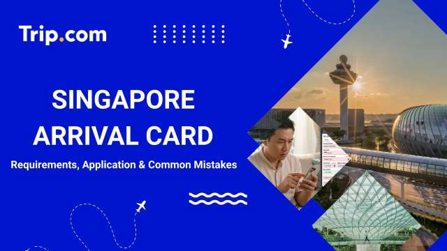 Singapore Arrival Card