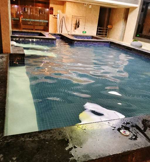 Guangzhou Massage: Water Therapy & Overnight Leisure (Spas & Bathhouses)