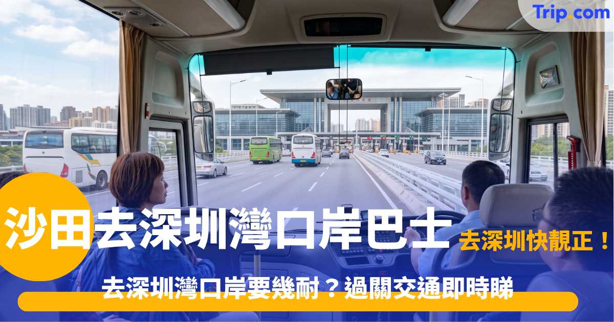 沙田去深圳灣口岸巴士指南 | 直達巴士班次、票價與過關流程！ | Trip.com
