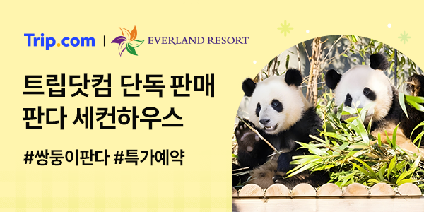 에버랜드 판다월드 스마트 줄서기