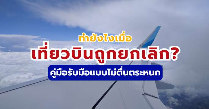ทำยังไงเมื่อ เที่ยวบินถูกยกเลิก? คู่มือรับมือแบบไม่ตื่นตระหนก