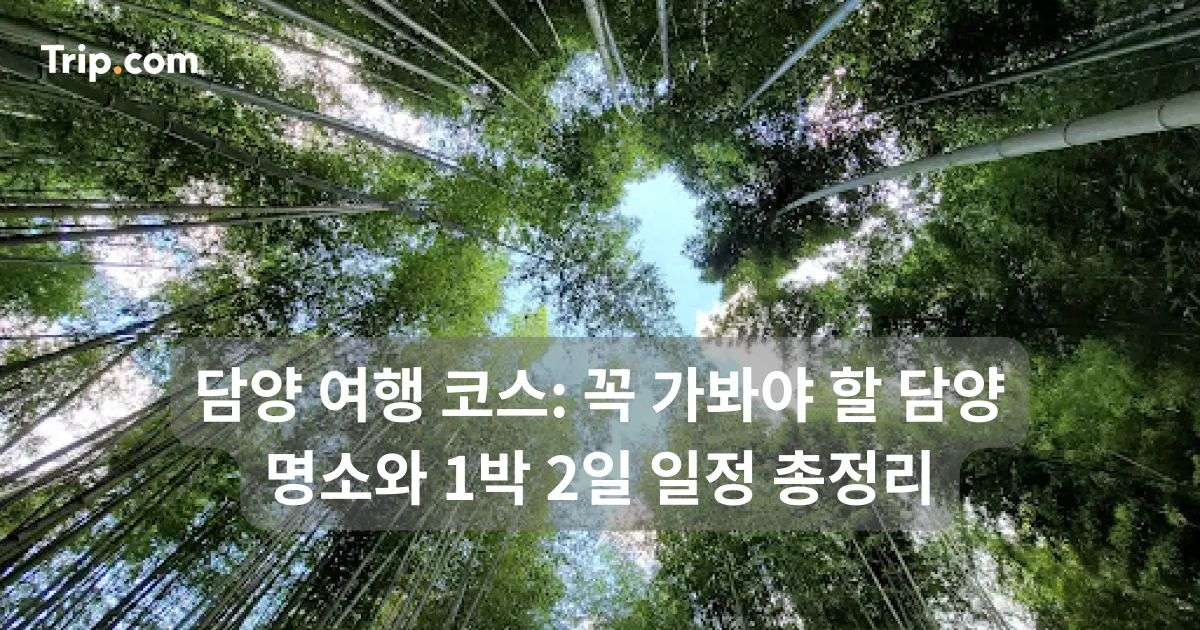 담양 여행 코스