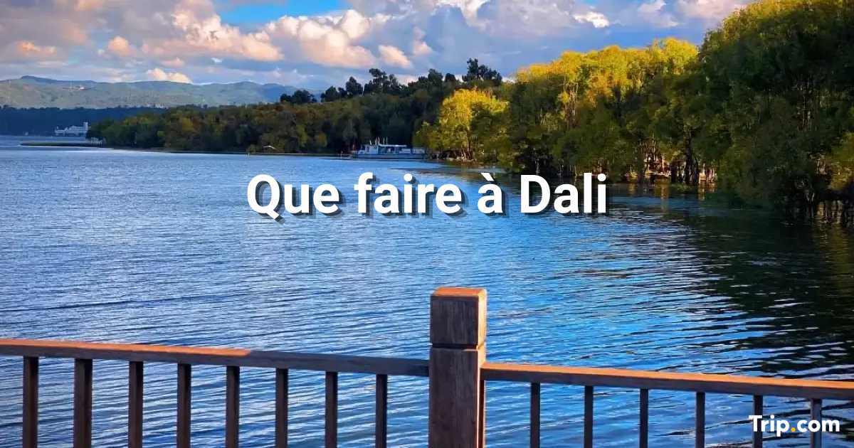 Que faire à Dali