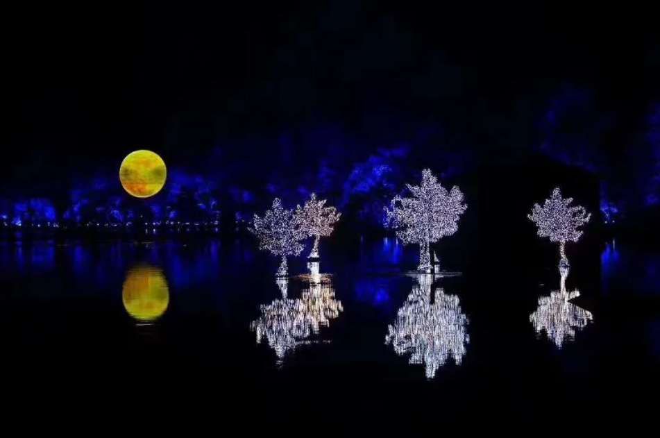 West Lake Impression Show