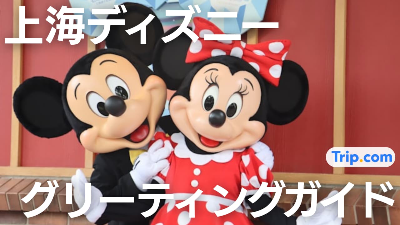 上海ディズニー　グリーティング
